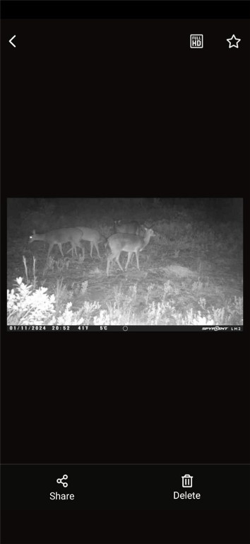0 Thorn Bird Road Property Photo 17
