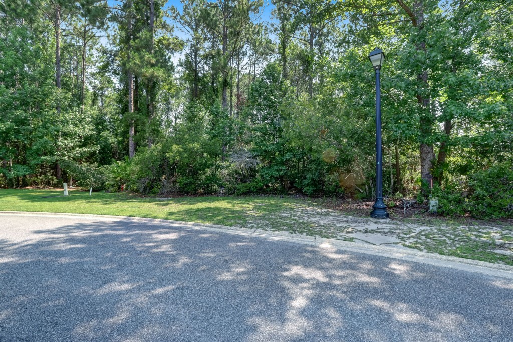 0 Bluebird Court Property Photo 9