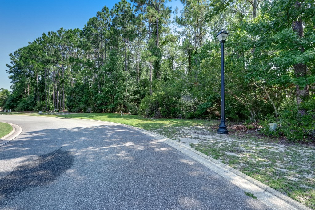 0 Bluebird Court Property Photo 10