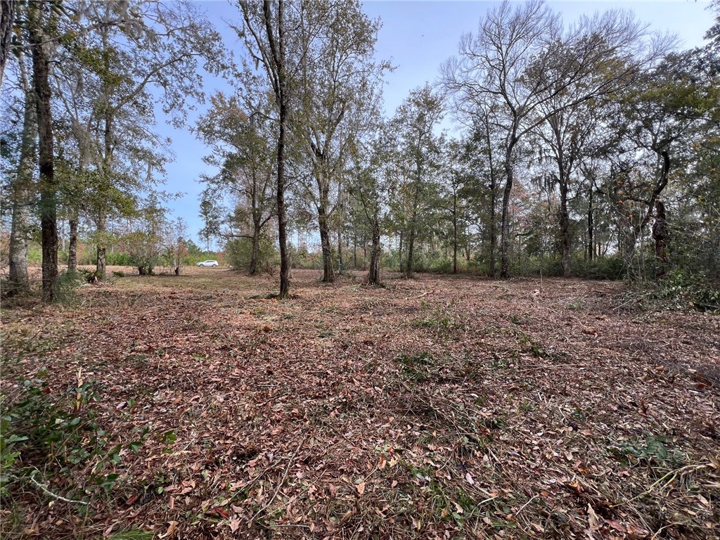 597 Salt Creek Way E Property Photo 1