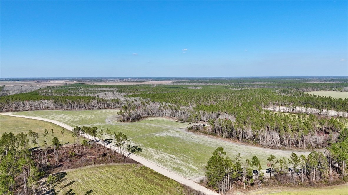 0 Tm Mims Road Property Photo
