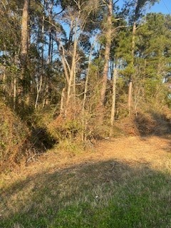 0 Kendallwood Drive Property Photo