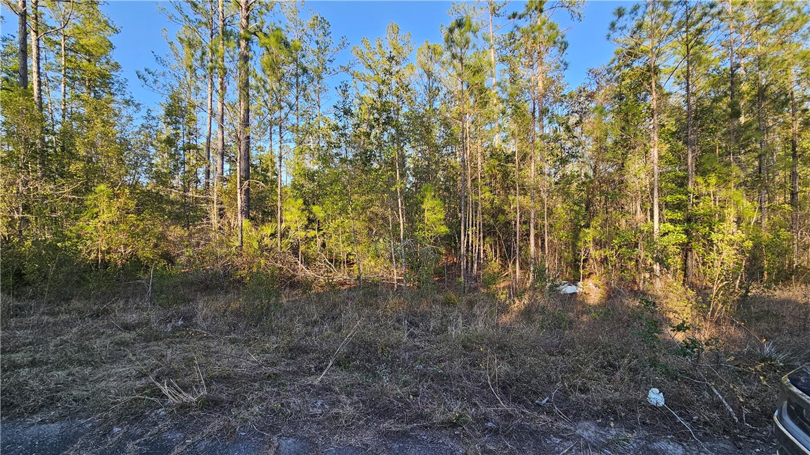 9 Satilla Plantation Drive Property Photo 1