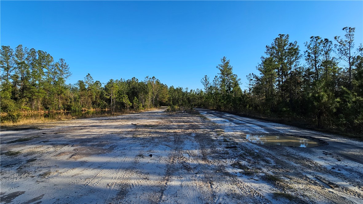 42 Satilla Plantation Drive Property Photo 1