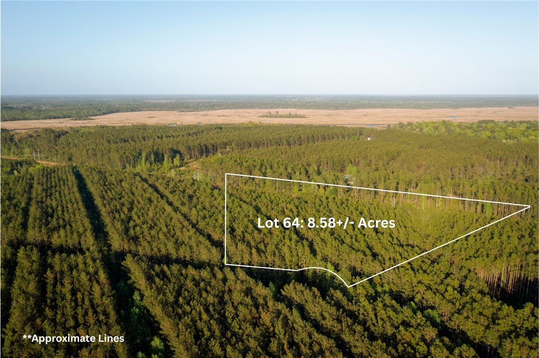 Lot 64 Magnolia Plantation Property Photo