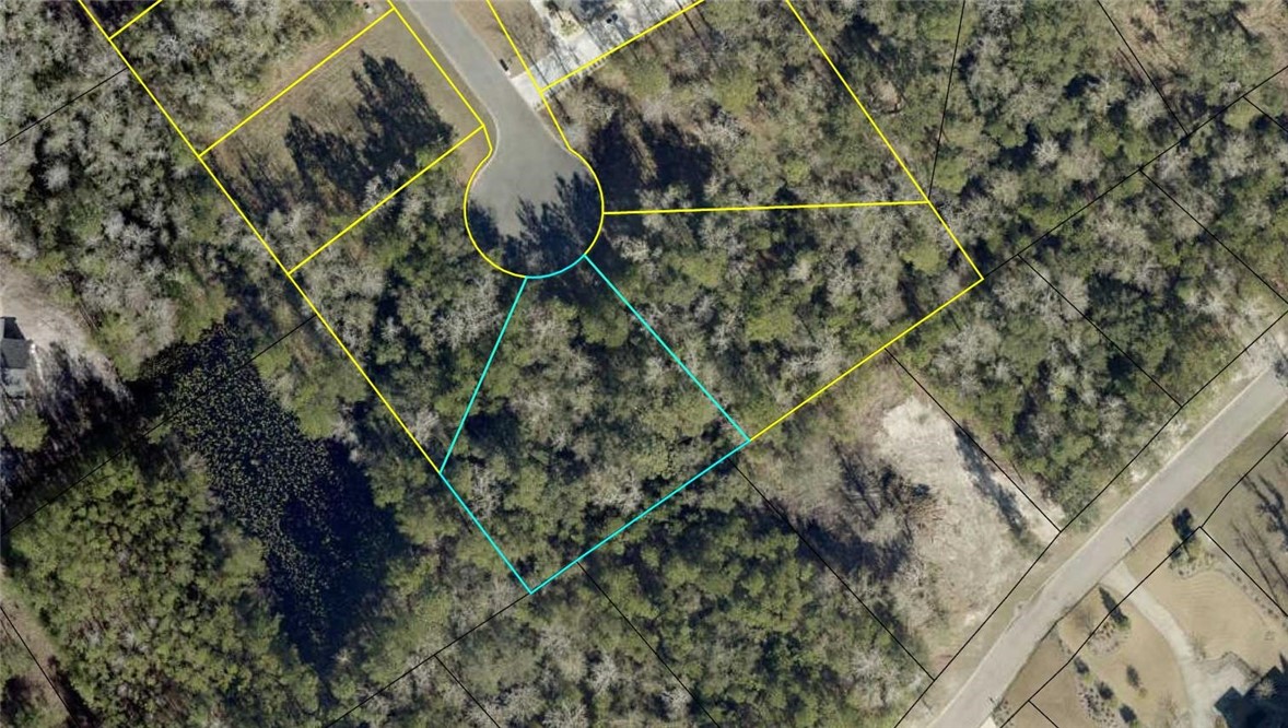 175 Marsh Oaks Drive Property Photo 1
