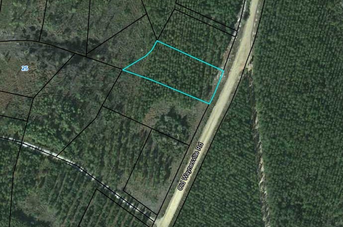 Lot 14 Old Waynesville Road Property Photo 1