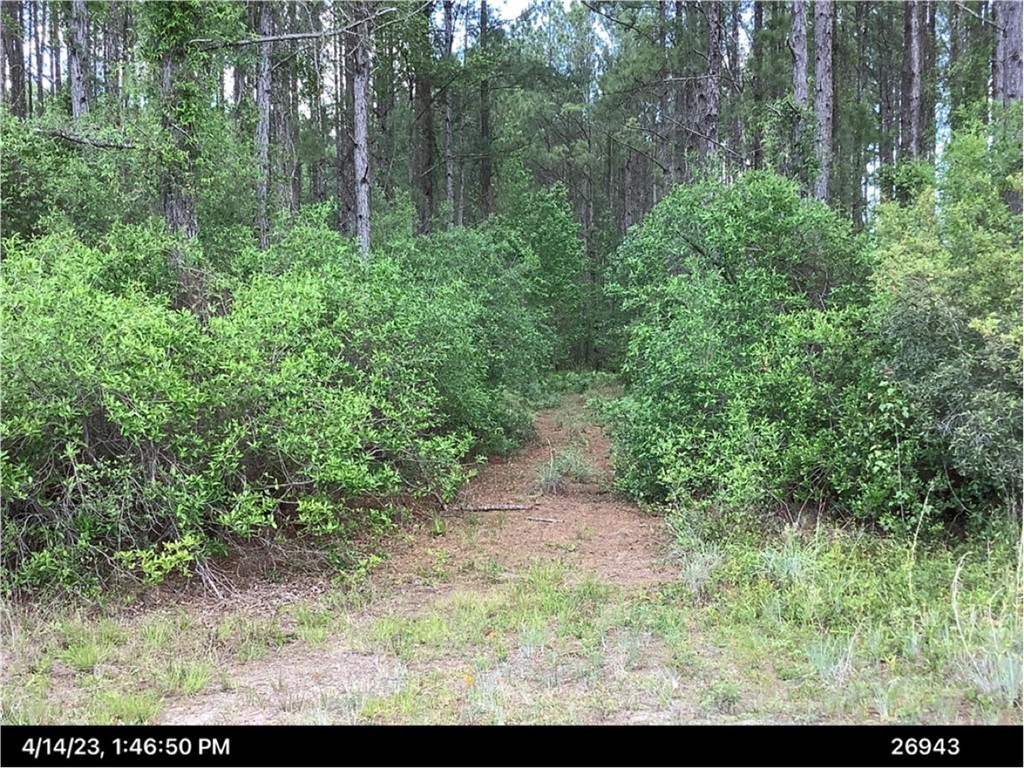 0 Inchachee Road Property Photo 1
