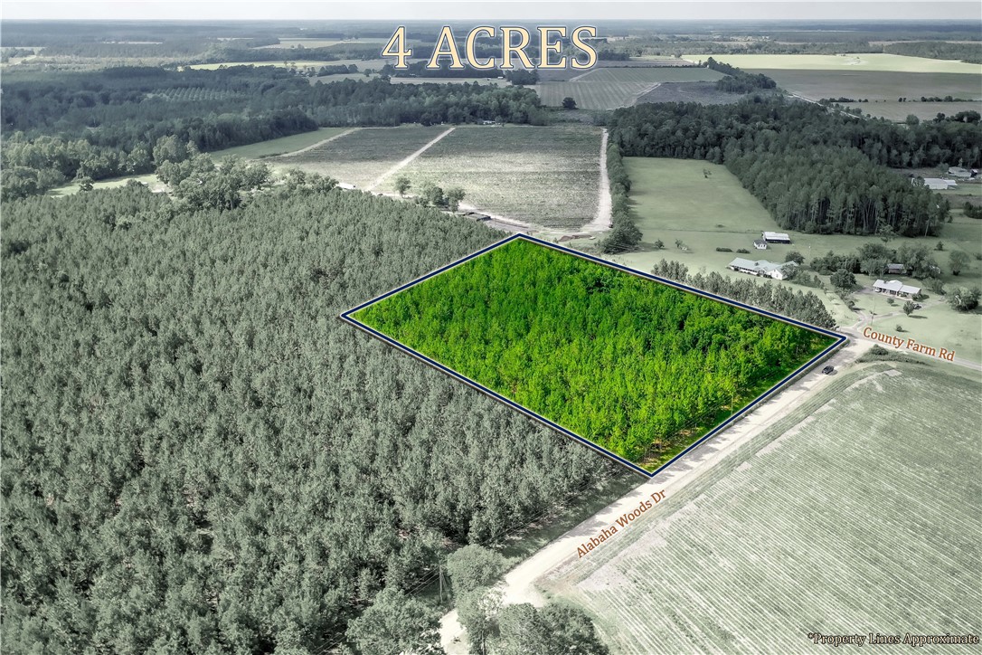 000 County Farm Road Property Photo 1