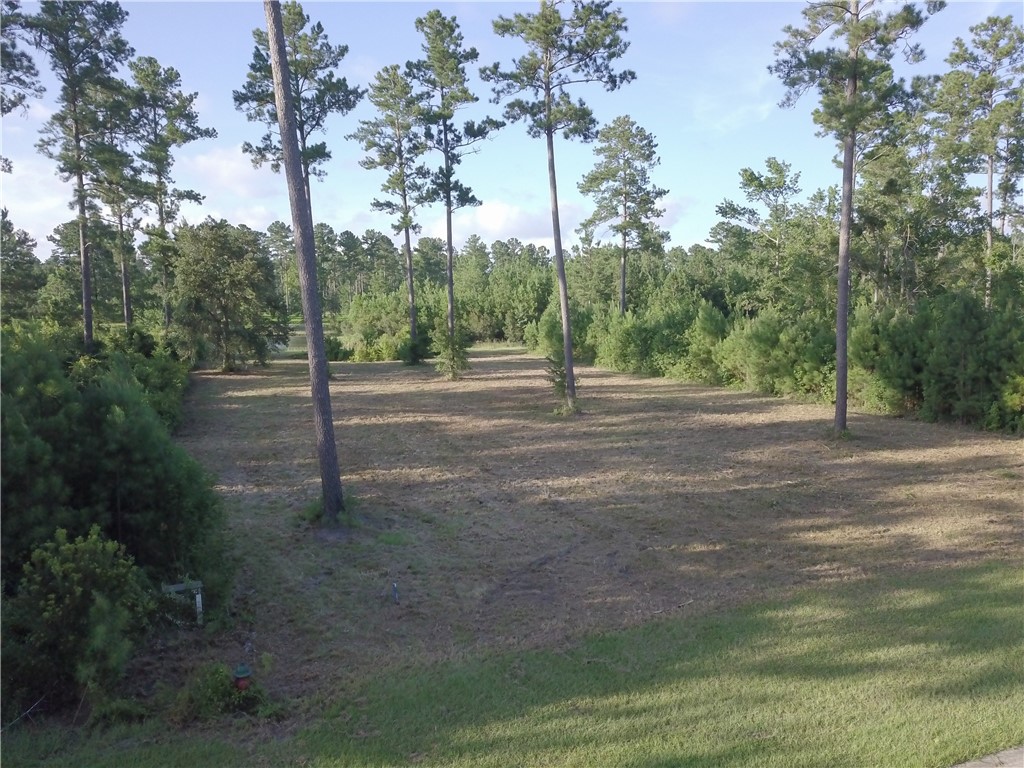 538 Salt Creek Way E Property Photo 4