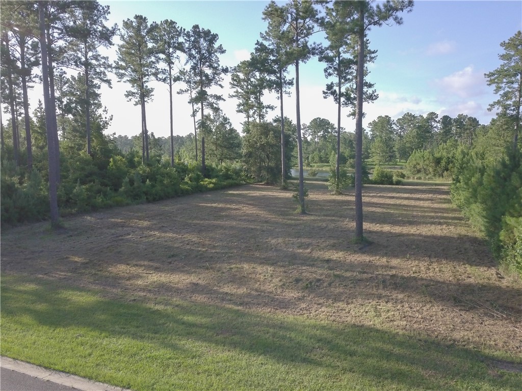 538 Salt Creek Way E Property Photo 5