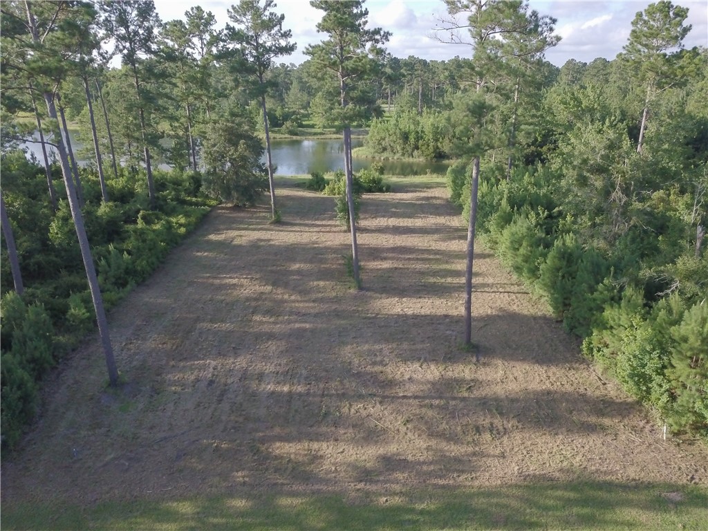 538 Salt Creek Way E Property Photo 6