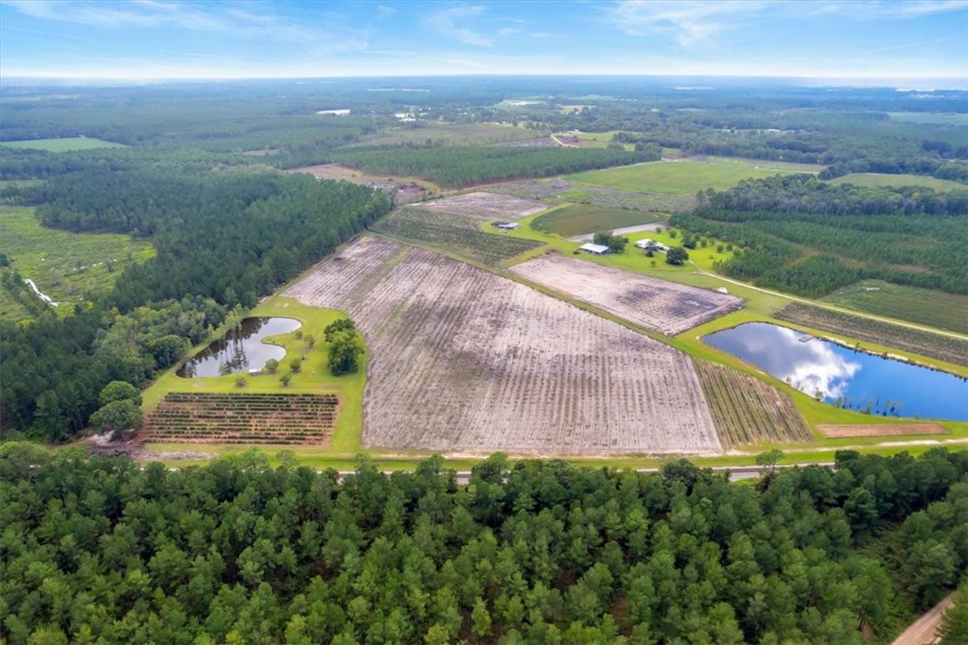 Lot 3 (51.47 Ac) Cody (nichols, Ga) Road Property Photo 1