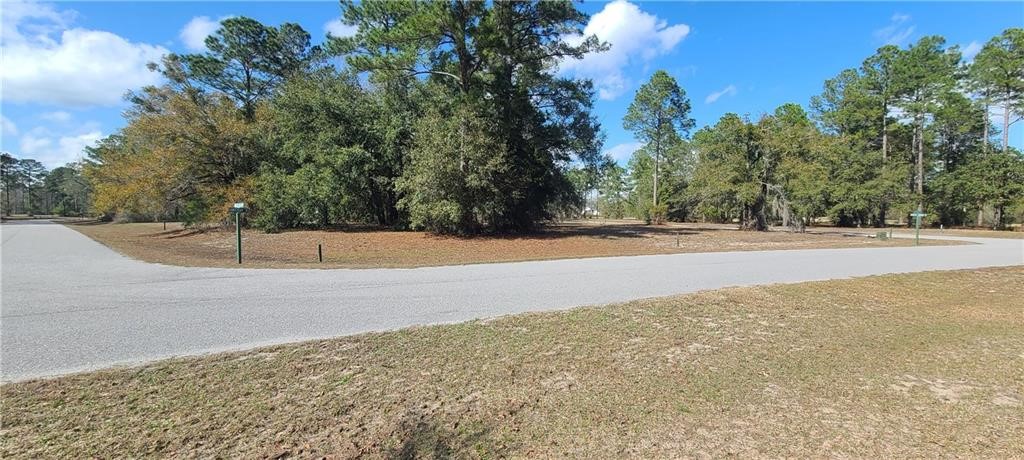 153 Sapelo Park Property Photo 3