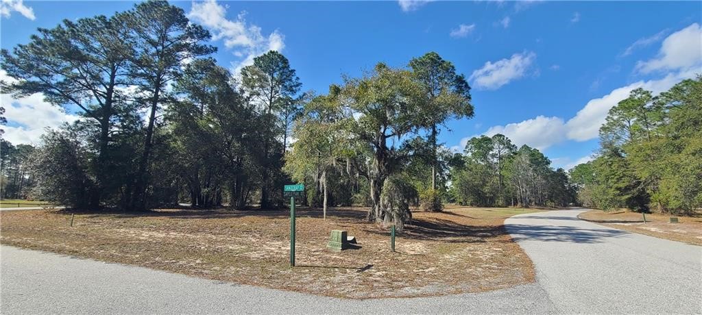 153 Sapelo Park Property Photo 4