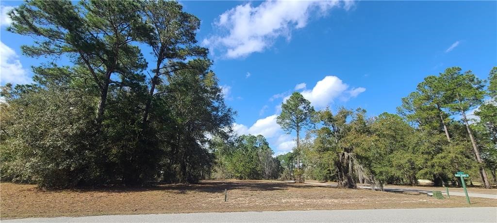 153 Sapelo Park Property Photo 5