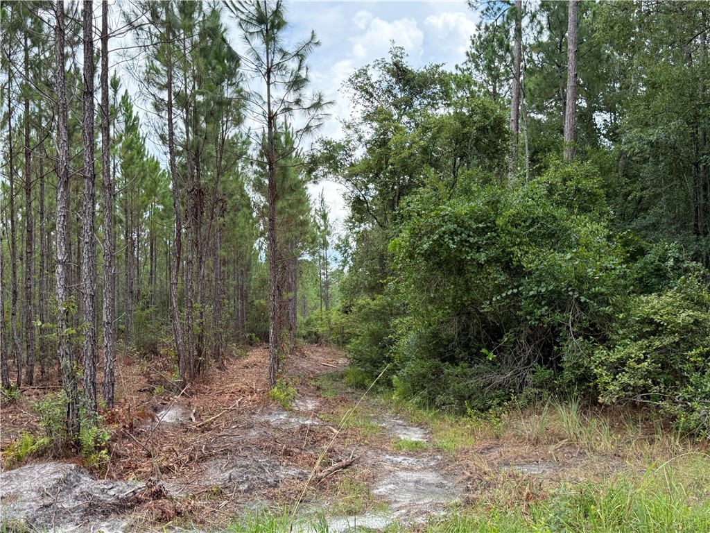 0 (lot 1) Corbitt Road Property Photo 1
