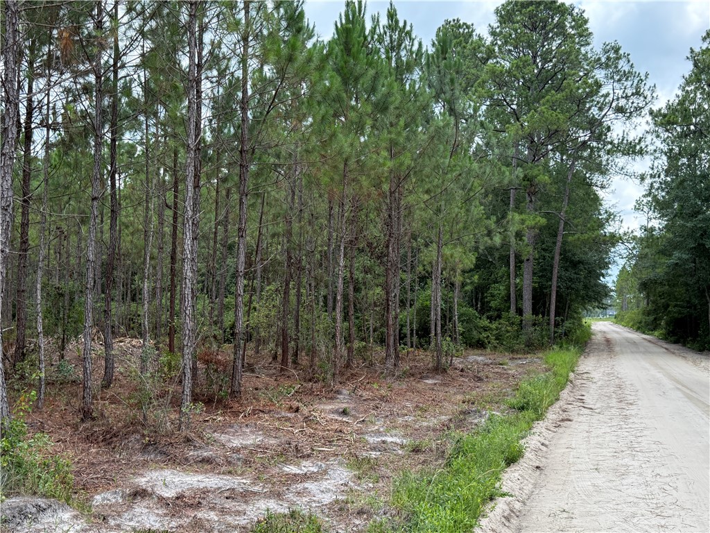 0 (lot 1) Corbitt Road Property Photo 5