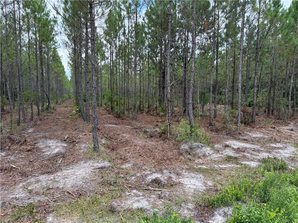 0 (lot 1) Corbitt Road Property Photo 6