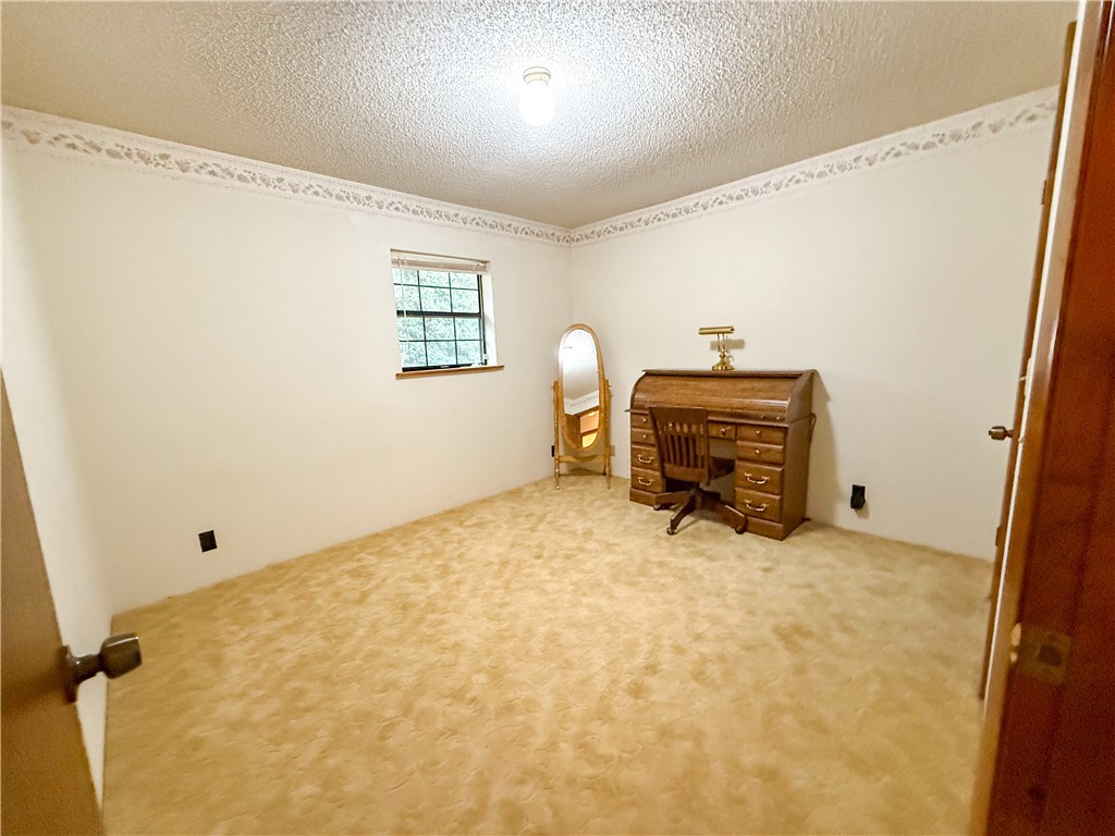 220 Arthur Knowles Road Property Photo 34