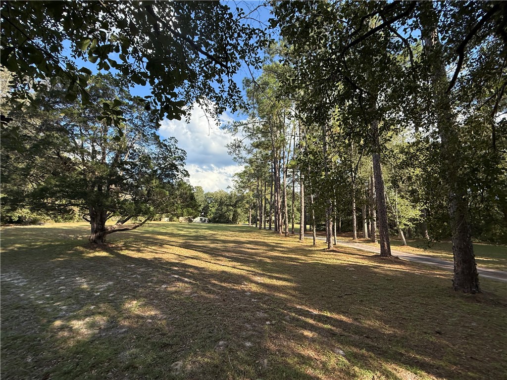 220 Arthur Knowles Road Property Photo 47