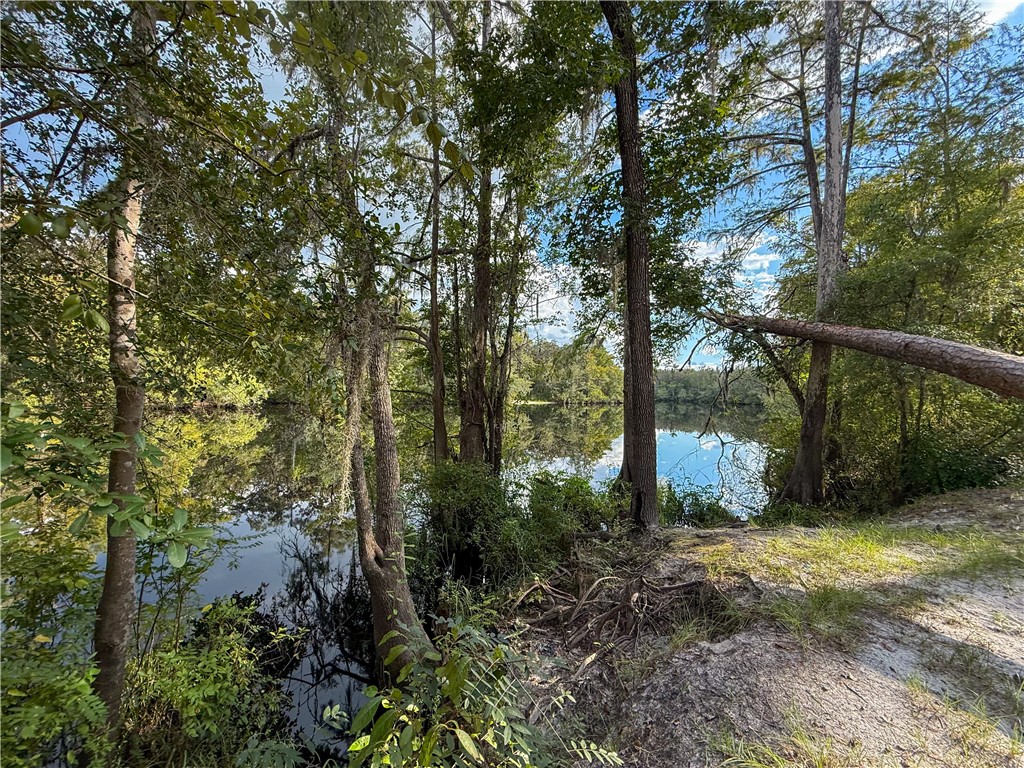 220 Arthur Knowles Road Property Photo 76