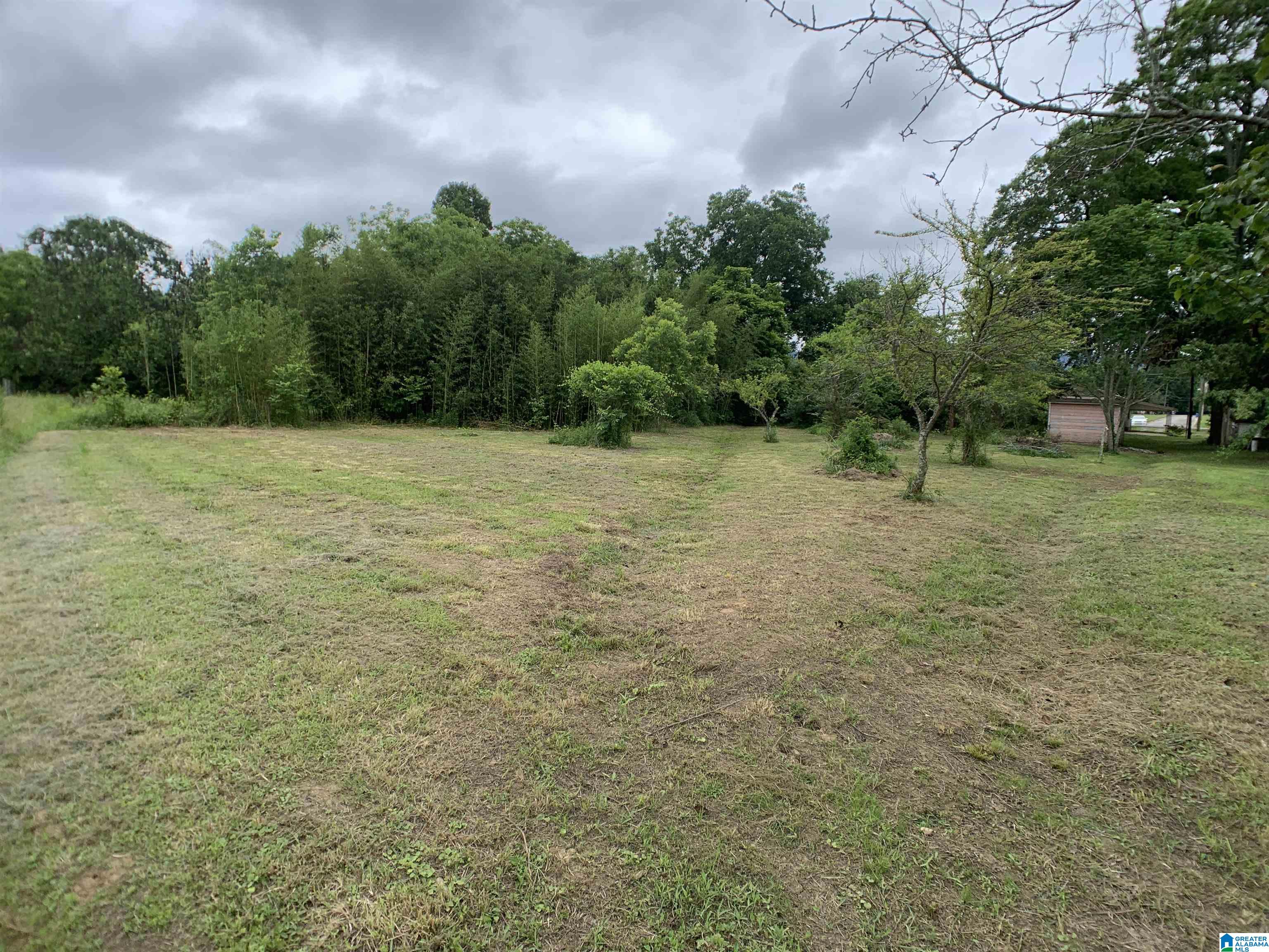 502 Hughes Street Property Photo 39