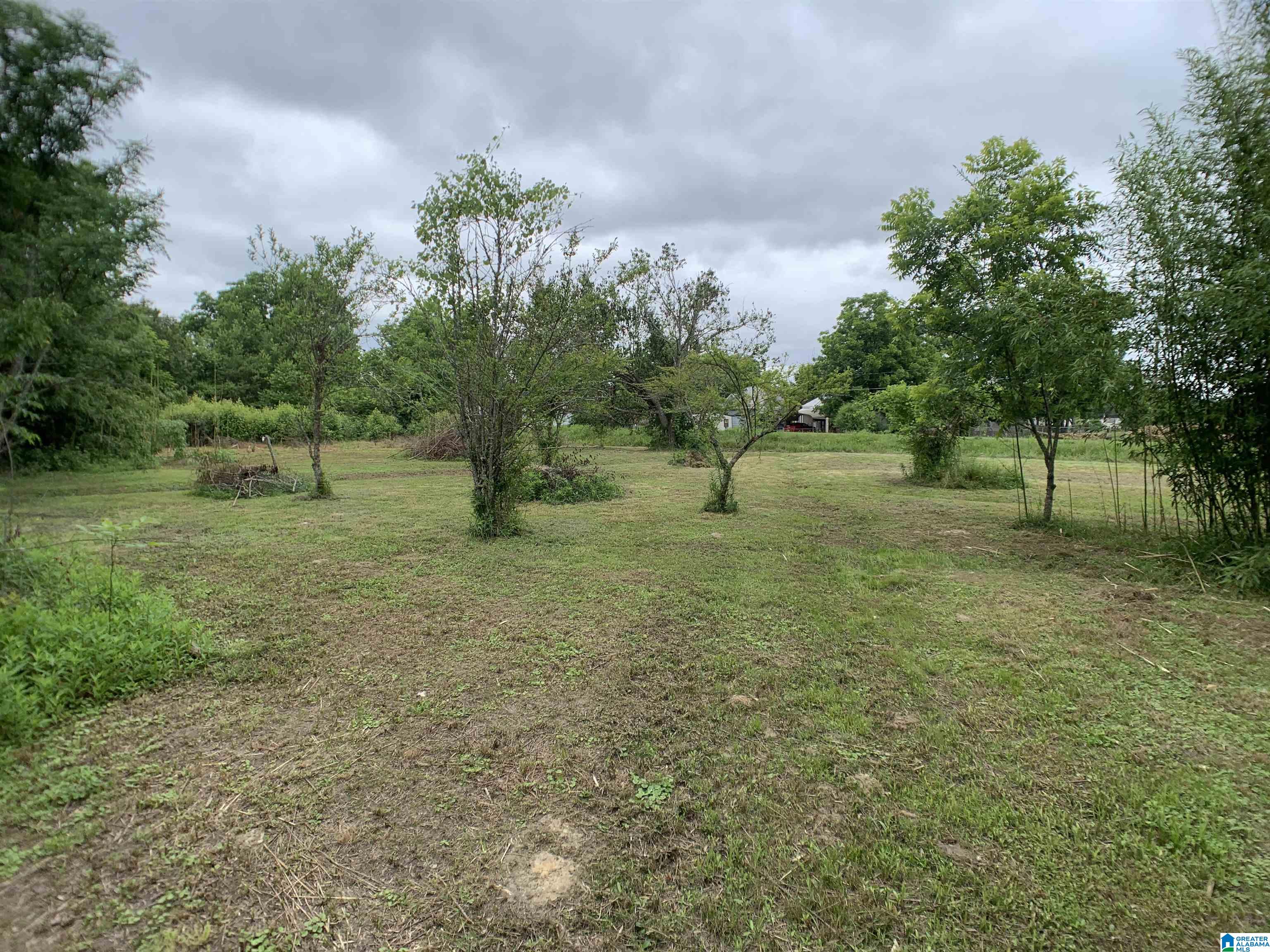 502 Hughes Street Property Photo 41