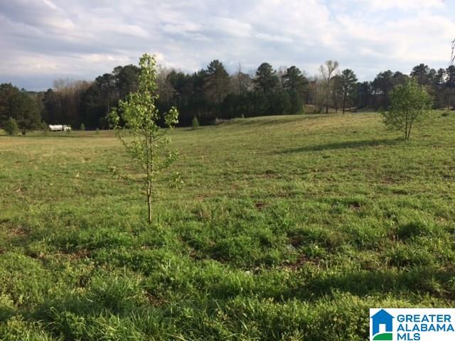 8525 Cross Creek Property Photo 1
