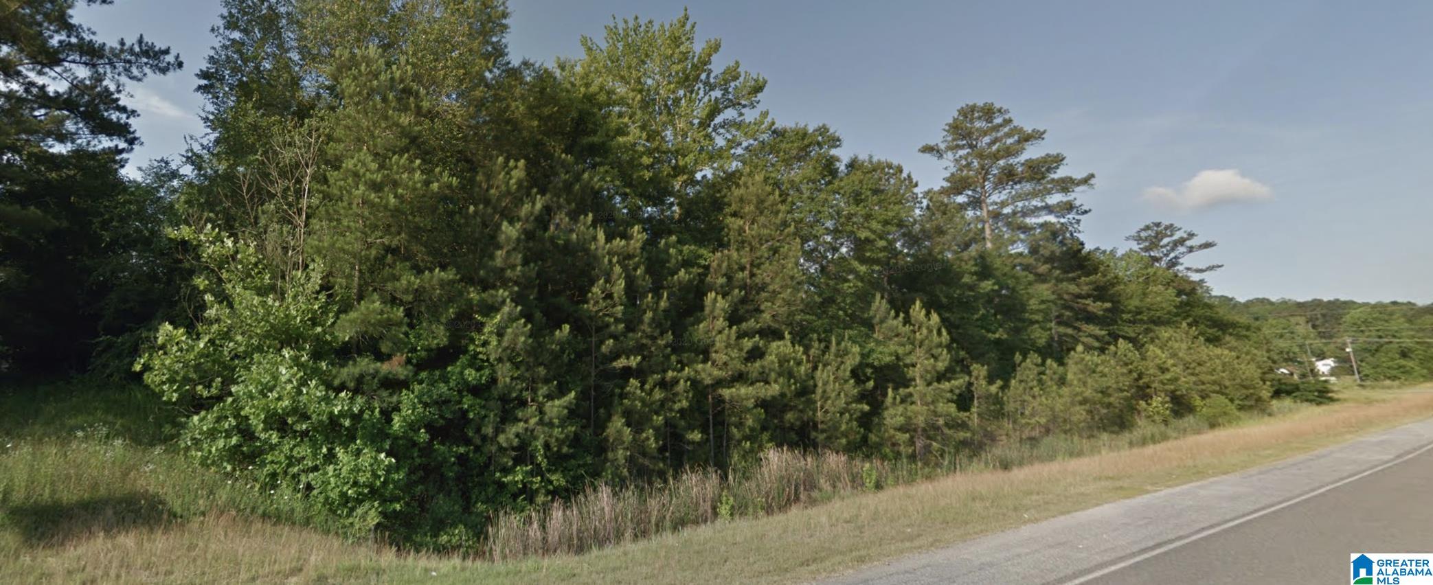 0 E Highway 278 Property Photo 5