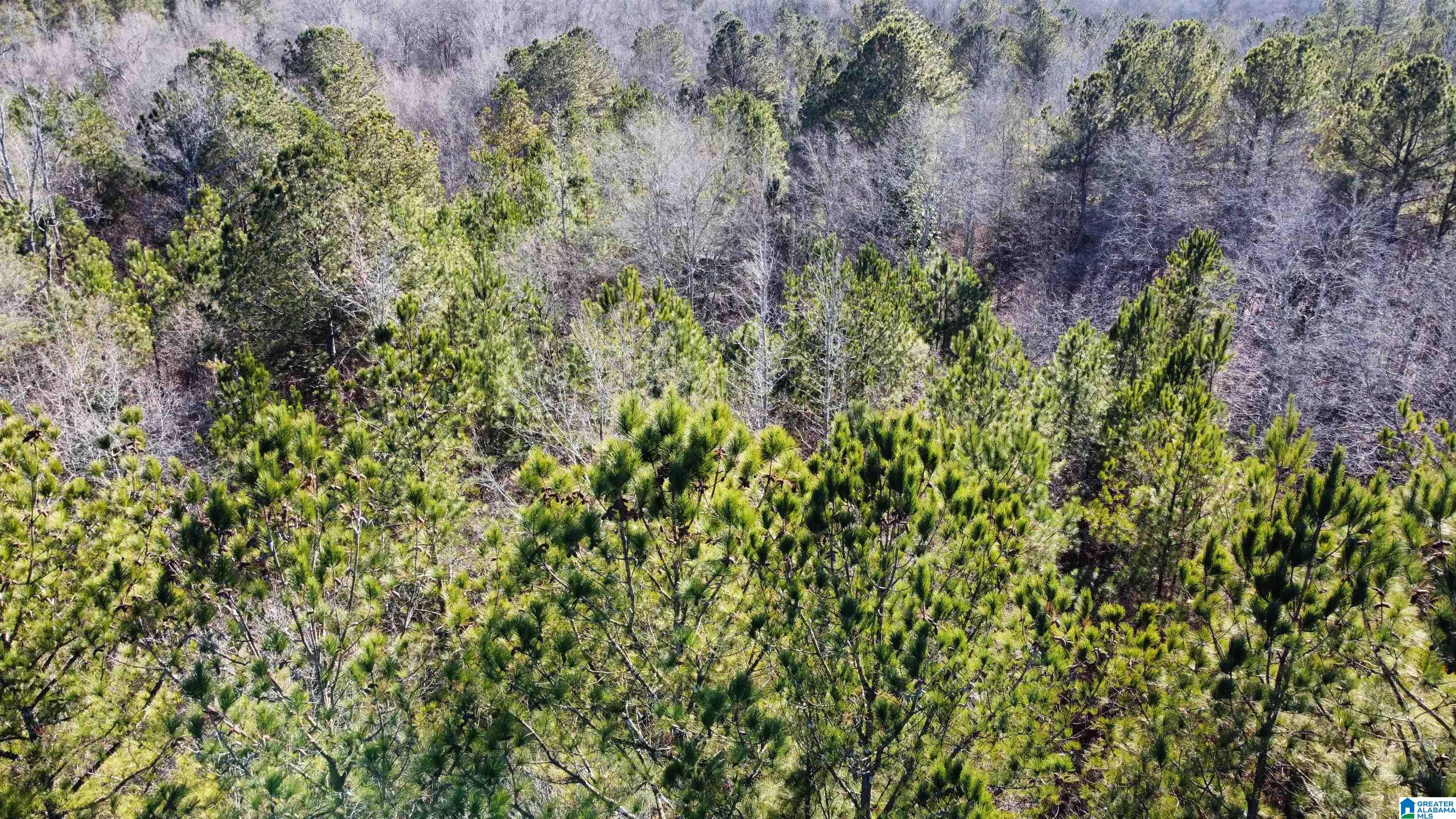 0 E Highway 278 Property Photo 18