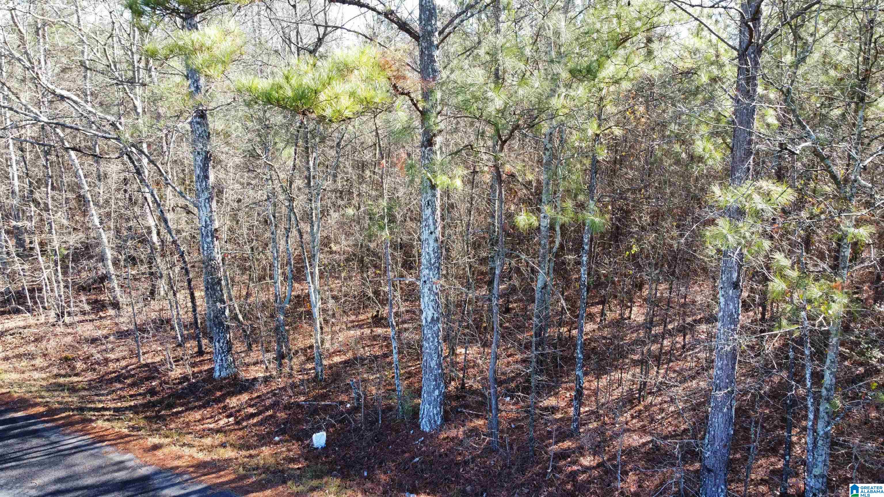 0 E Highway 278 Property Photo 19