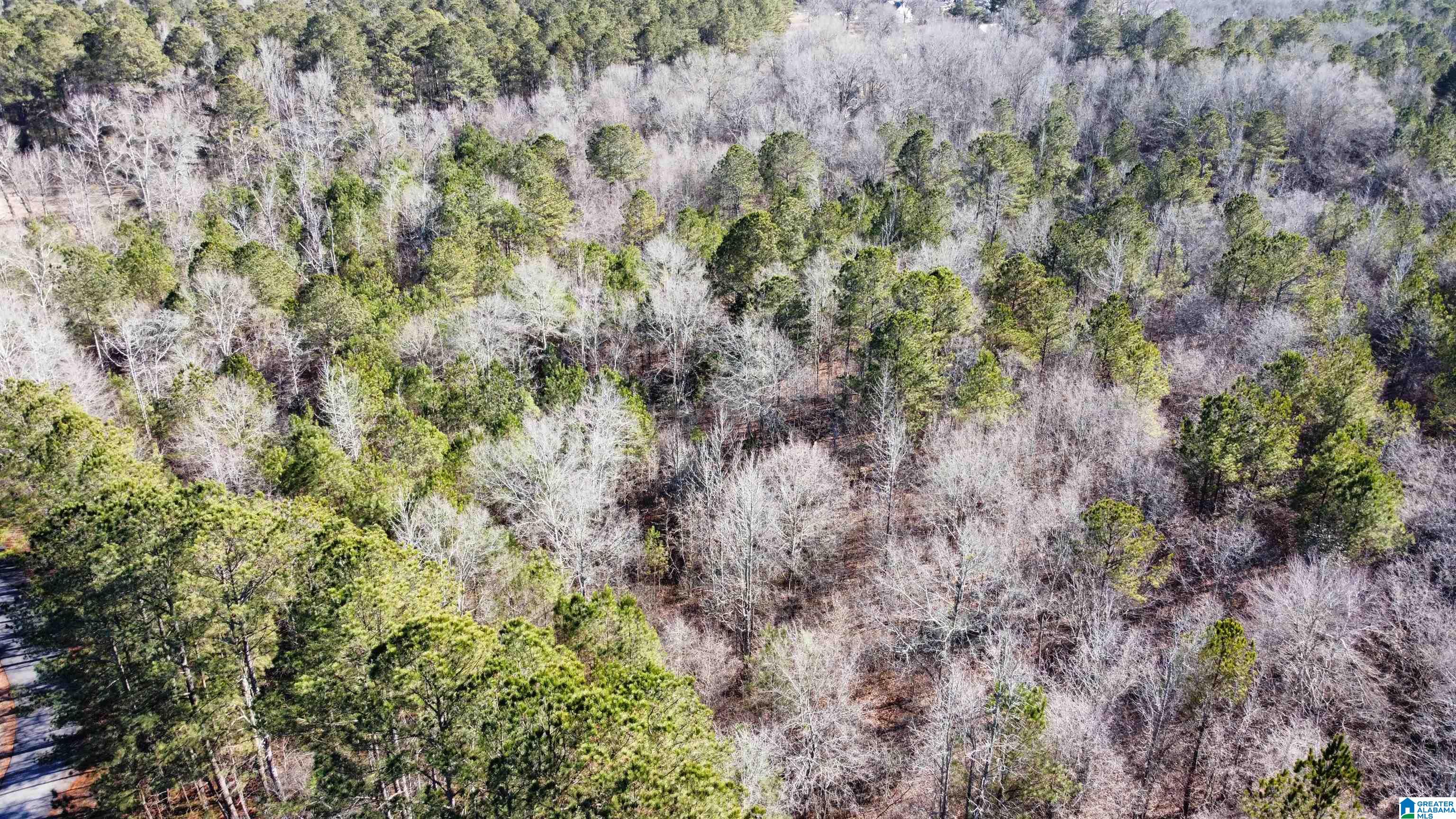 0 E Highway 278 Property Photo 22
