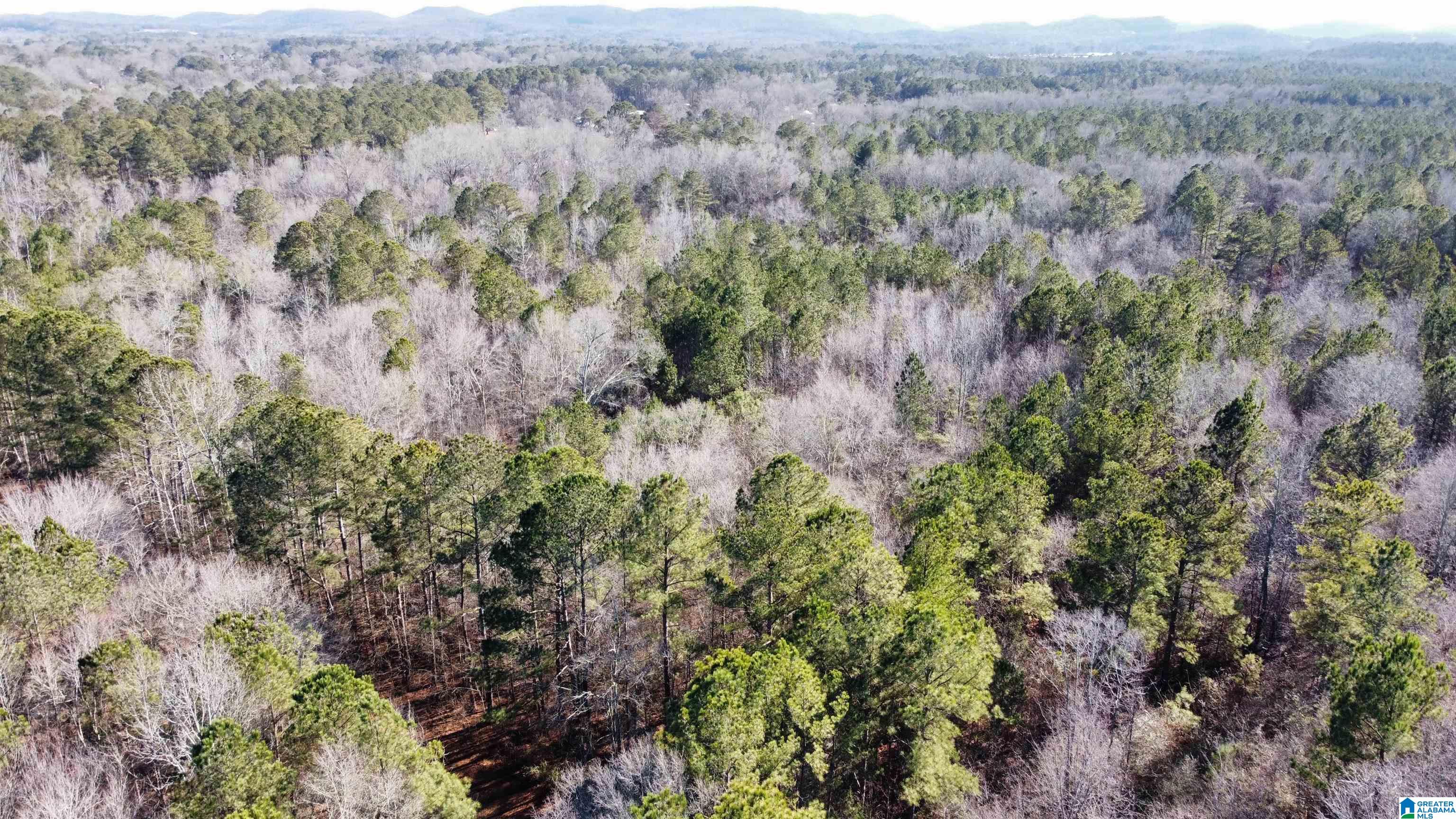 0 E Highway 278 Property Photo 24