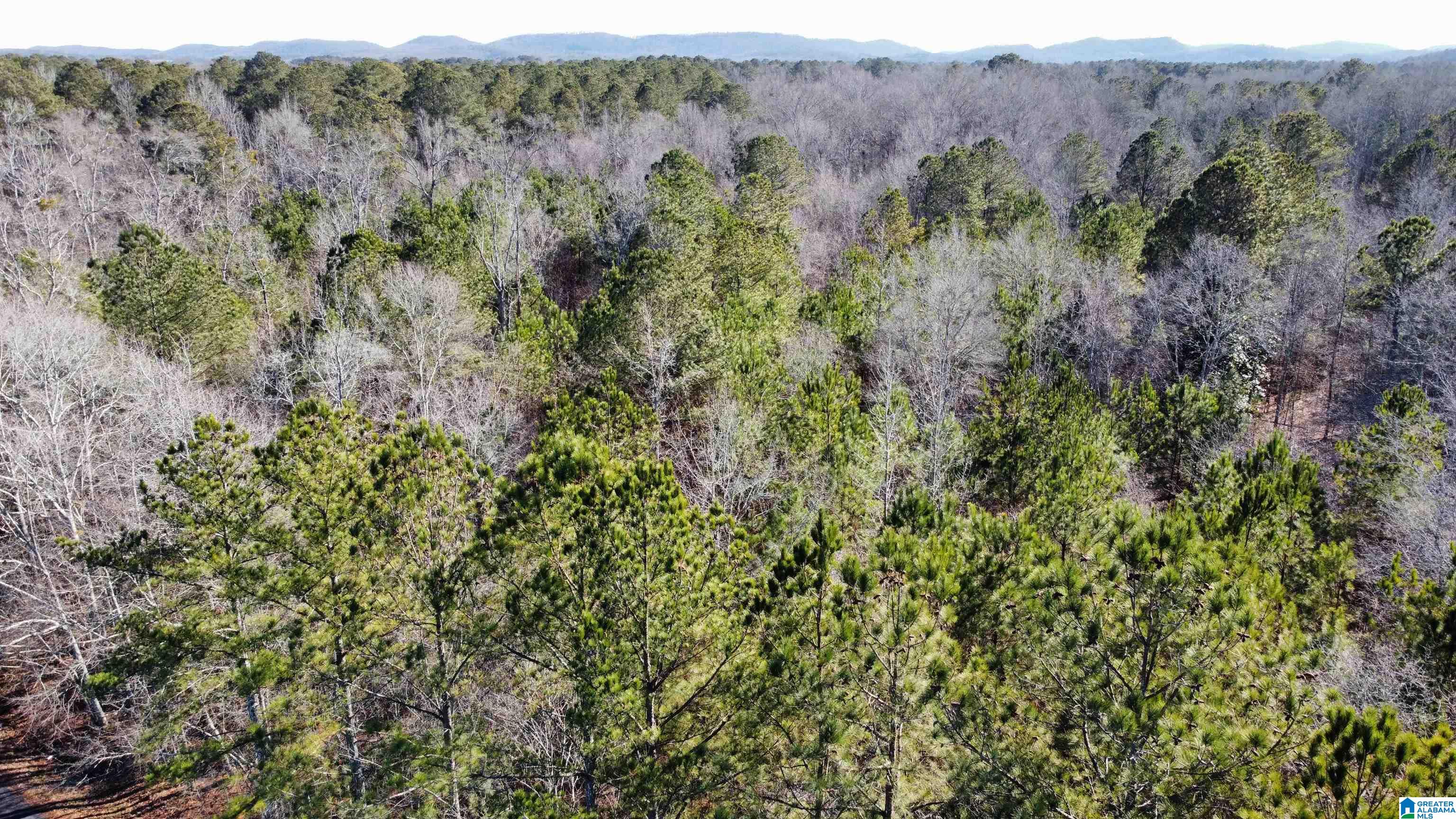 0 E Highway 278 Property Photo 26