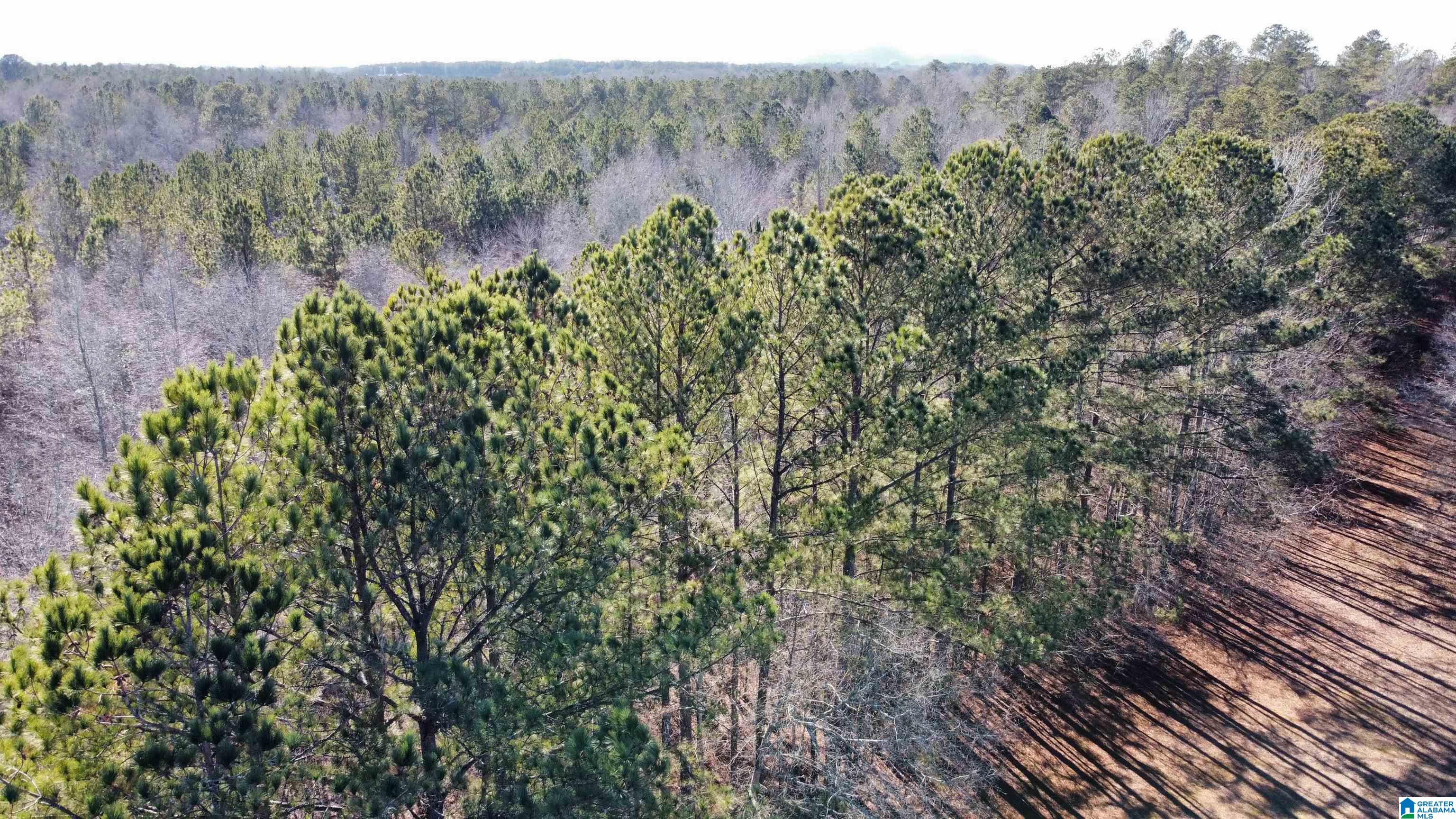 0 E Highway 278 Property Photo 27