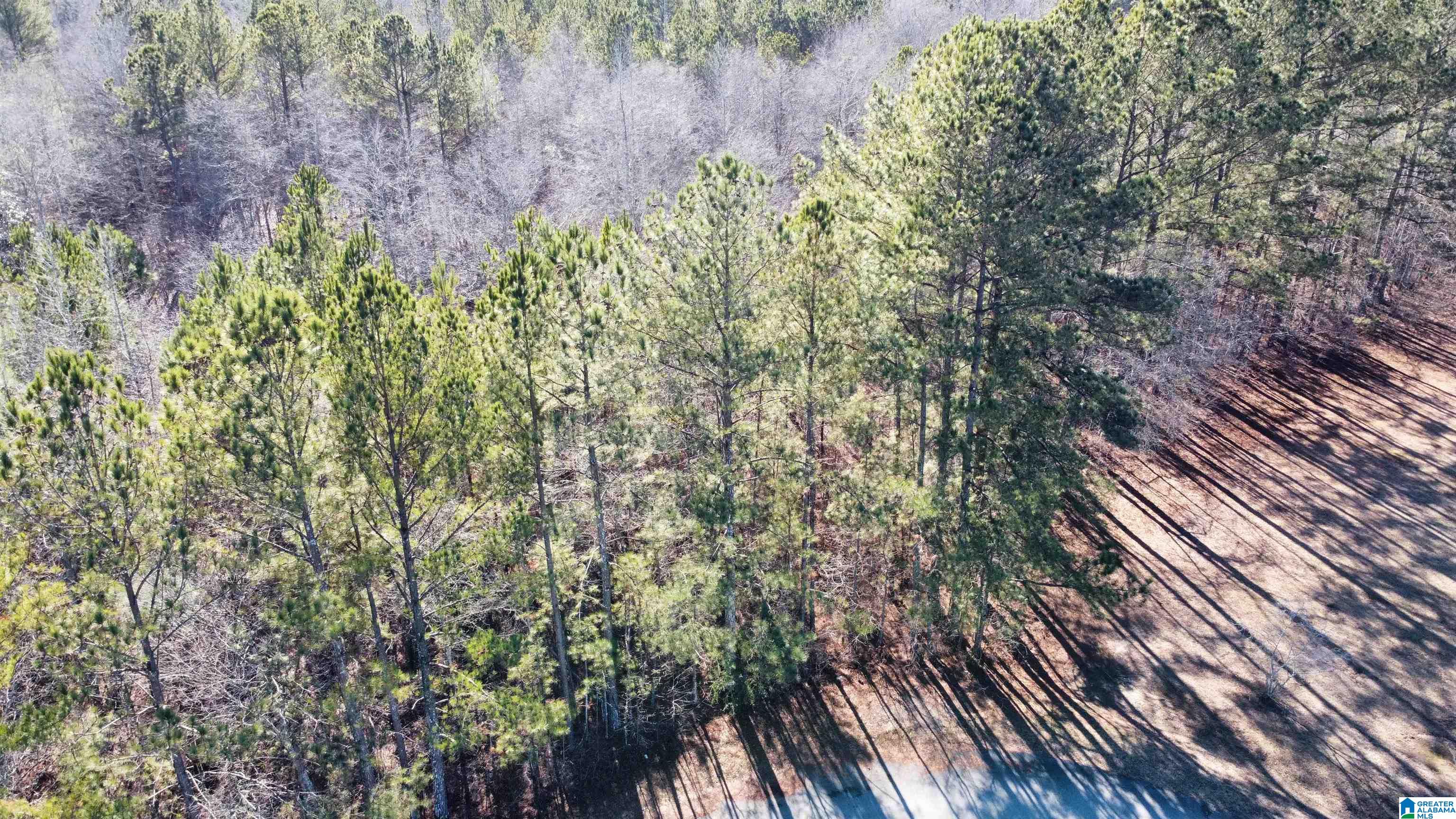0 E Highway 278 Property Photo 29