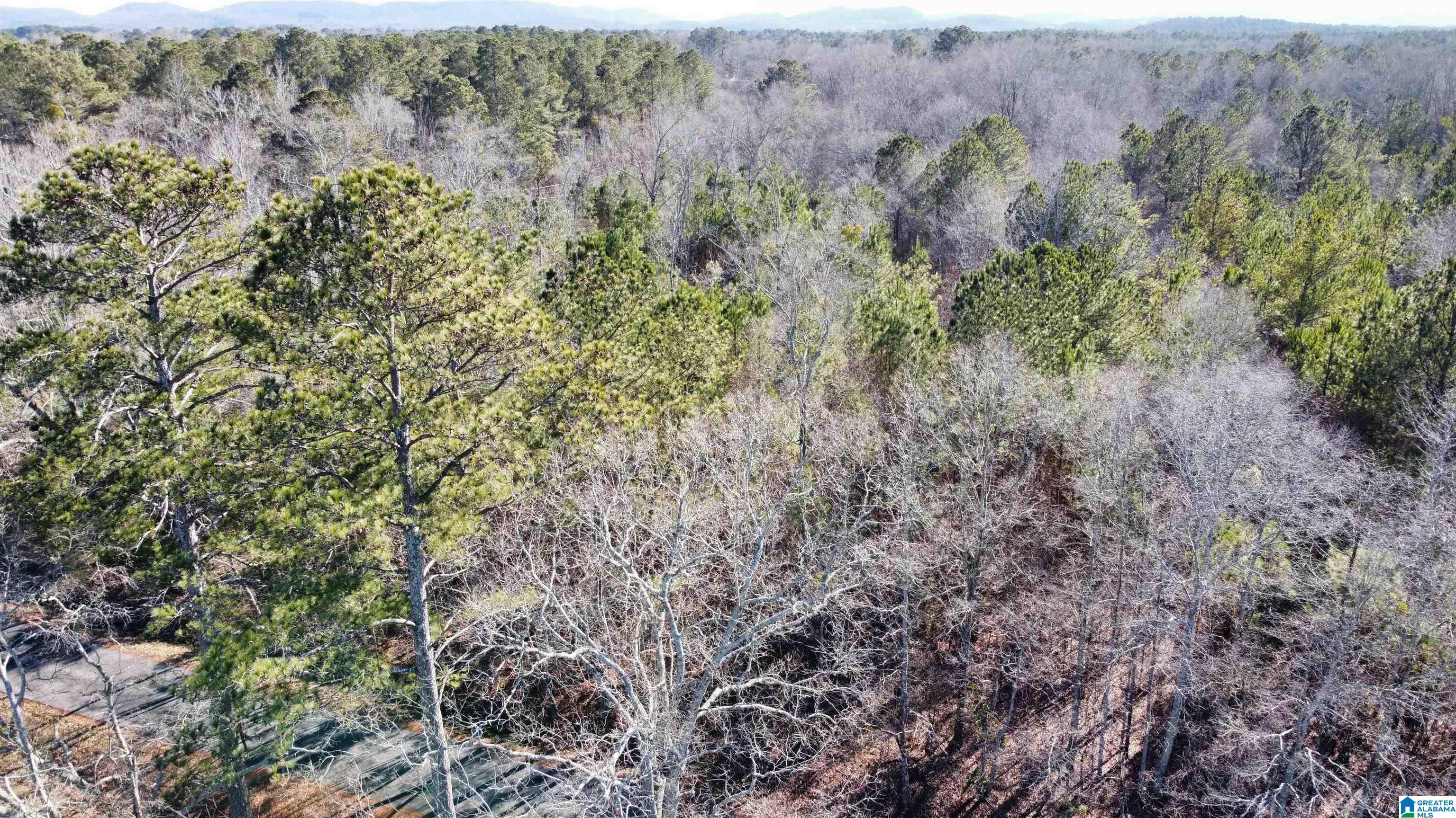 0 E Highway 278 Property Photo 30