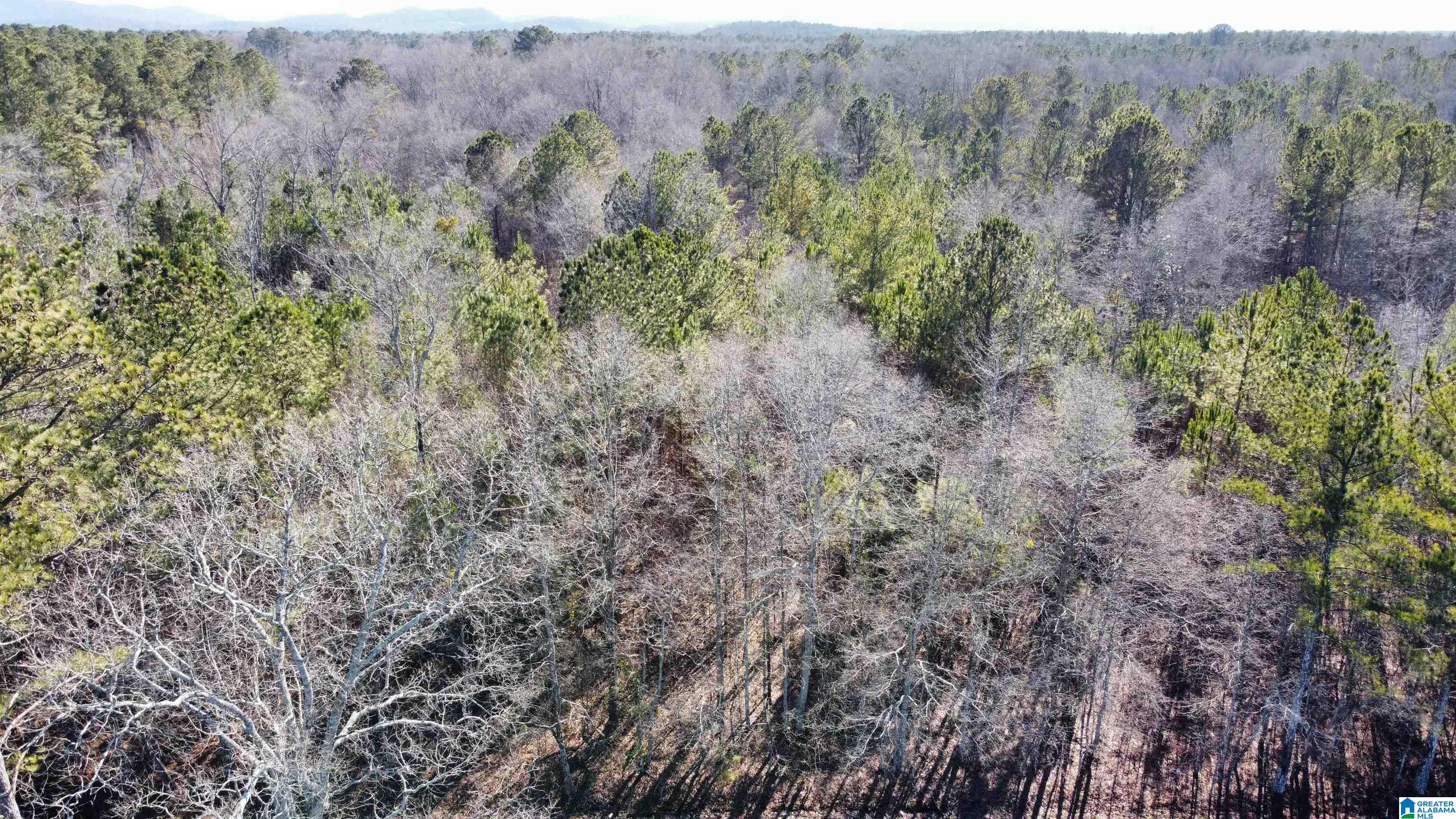 0 E Highway 278 Property Photo 31