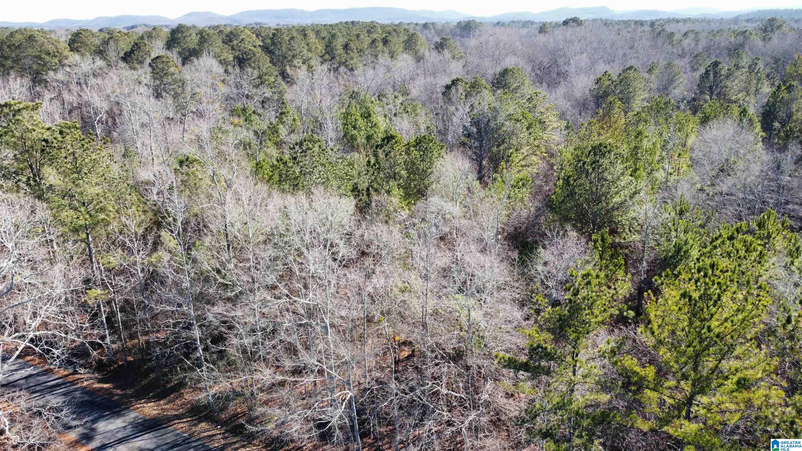 0 E Highway 278 Property Photo 32