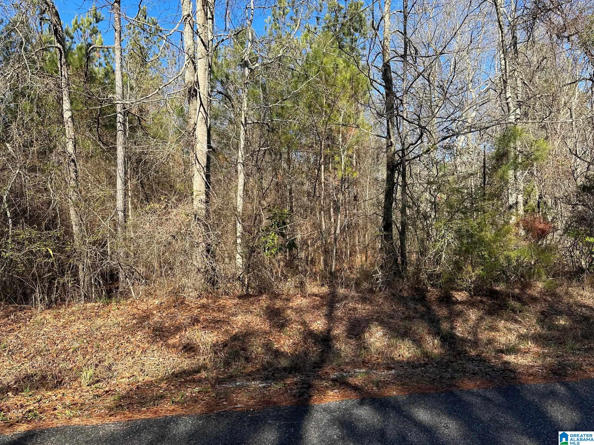 0 E Highway 278 Property Photo 33
