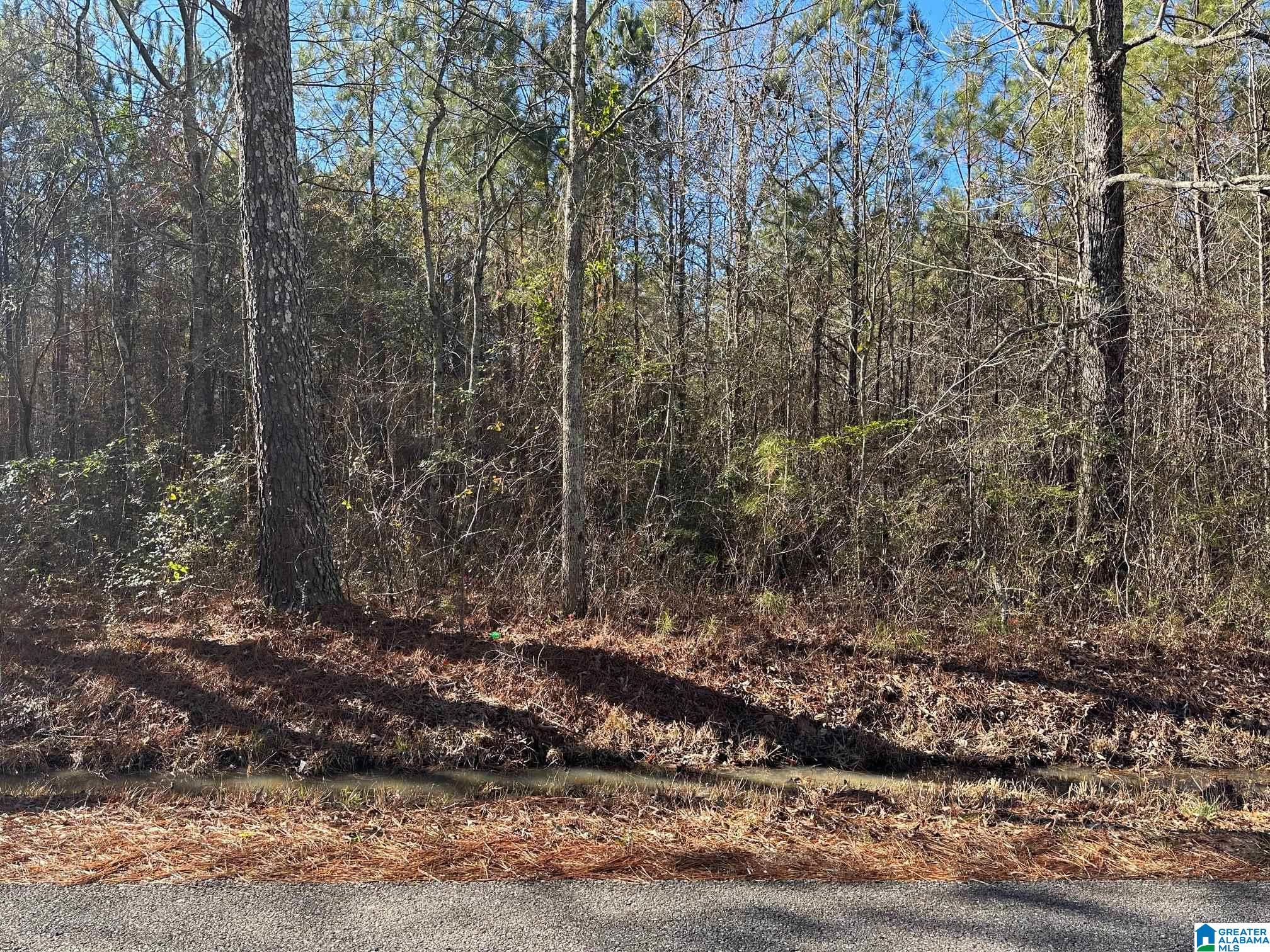 0 E Highway 278 Property Photo 35
