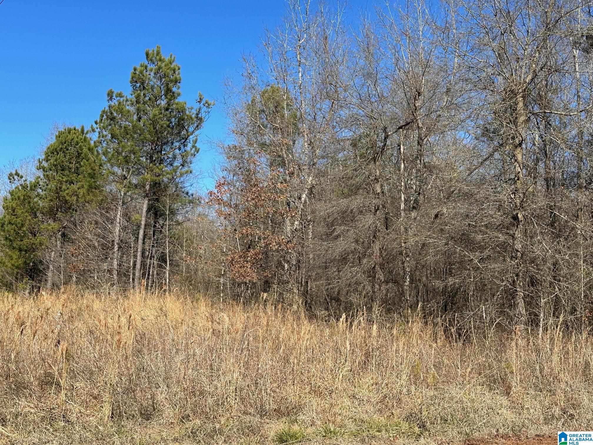 0 E Highway 278 Property Photo 36