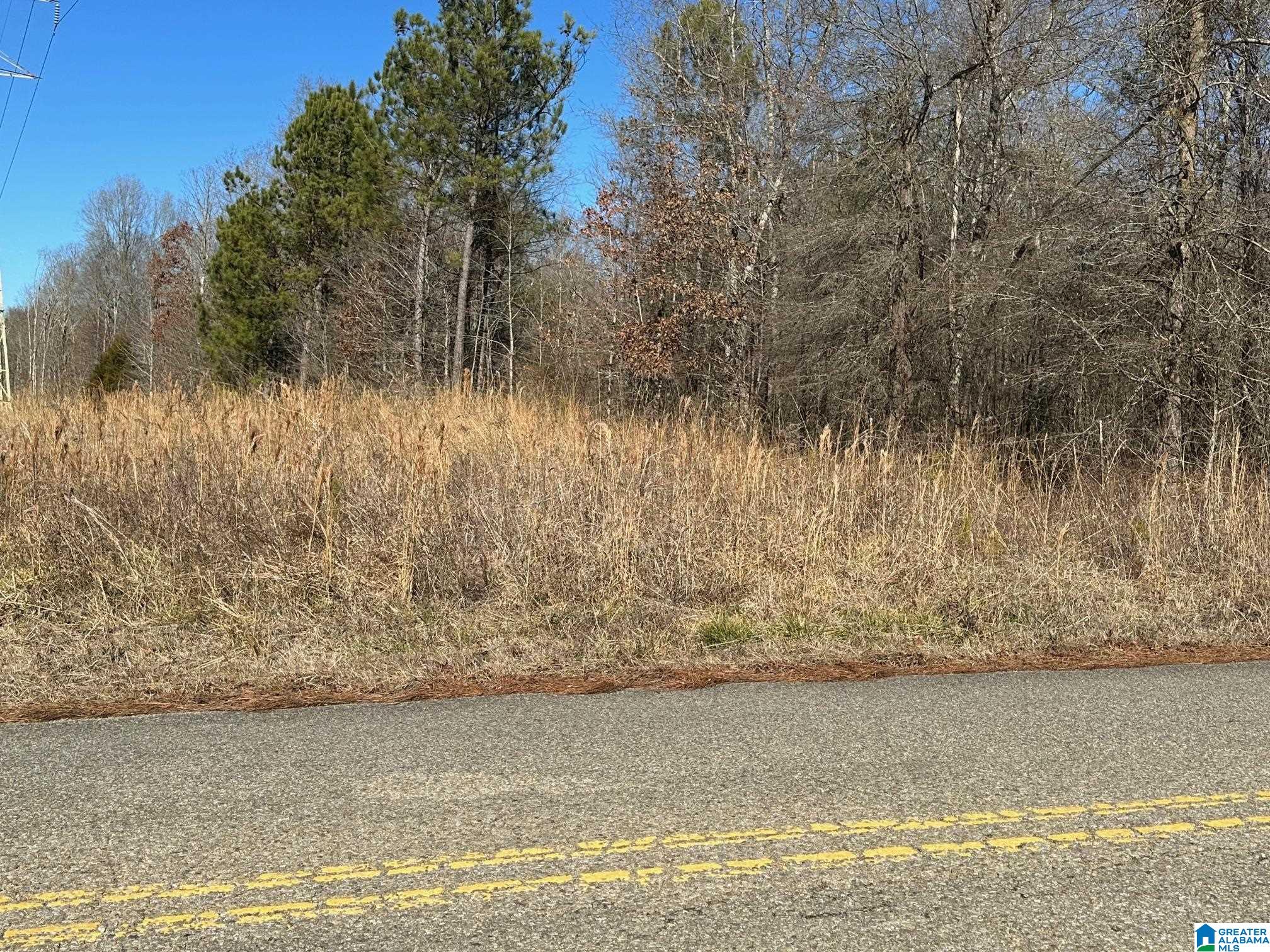 0 E Highway 278 Property Photo 37