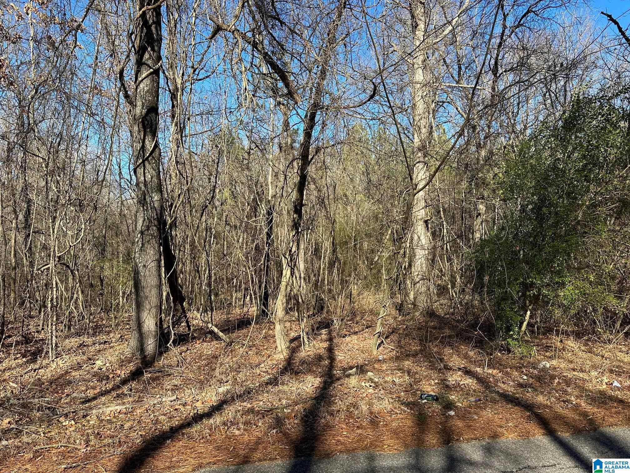 0 E Highway 278 Property Photo 38
