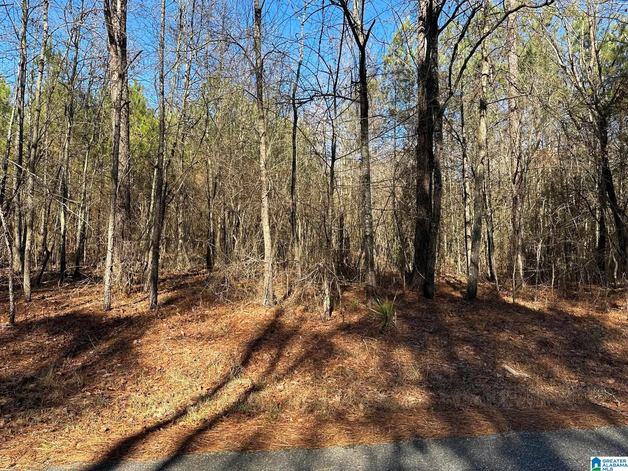 0 E Highway 278 Property Photo 39