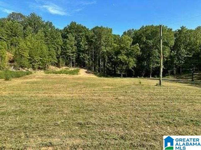 2450 Spring Creek Road Property Photo 2