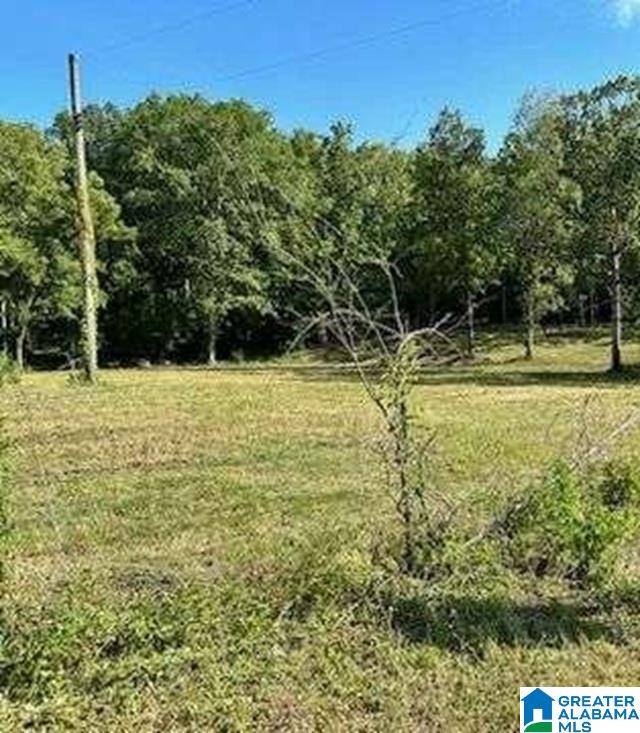 2450 Spring Creek Road Property Photo 4