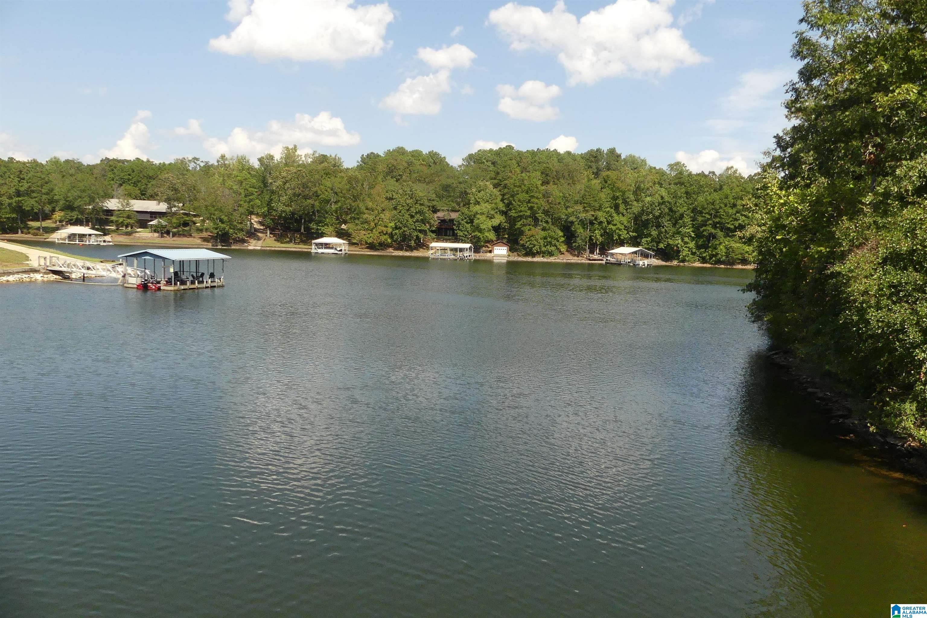 Lot 11 Brookwater Pointe Property Photo 1