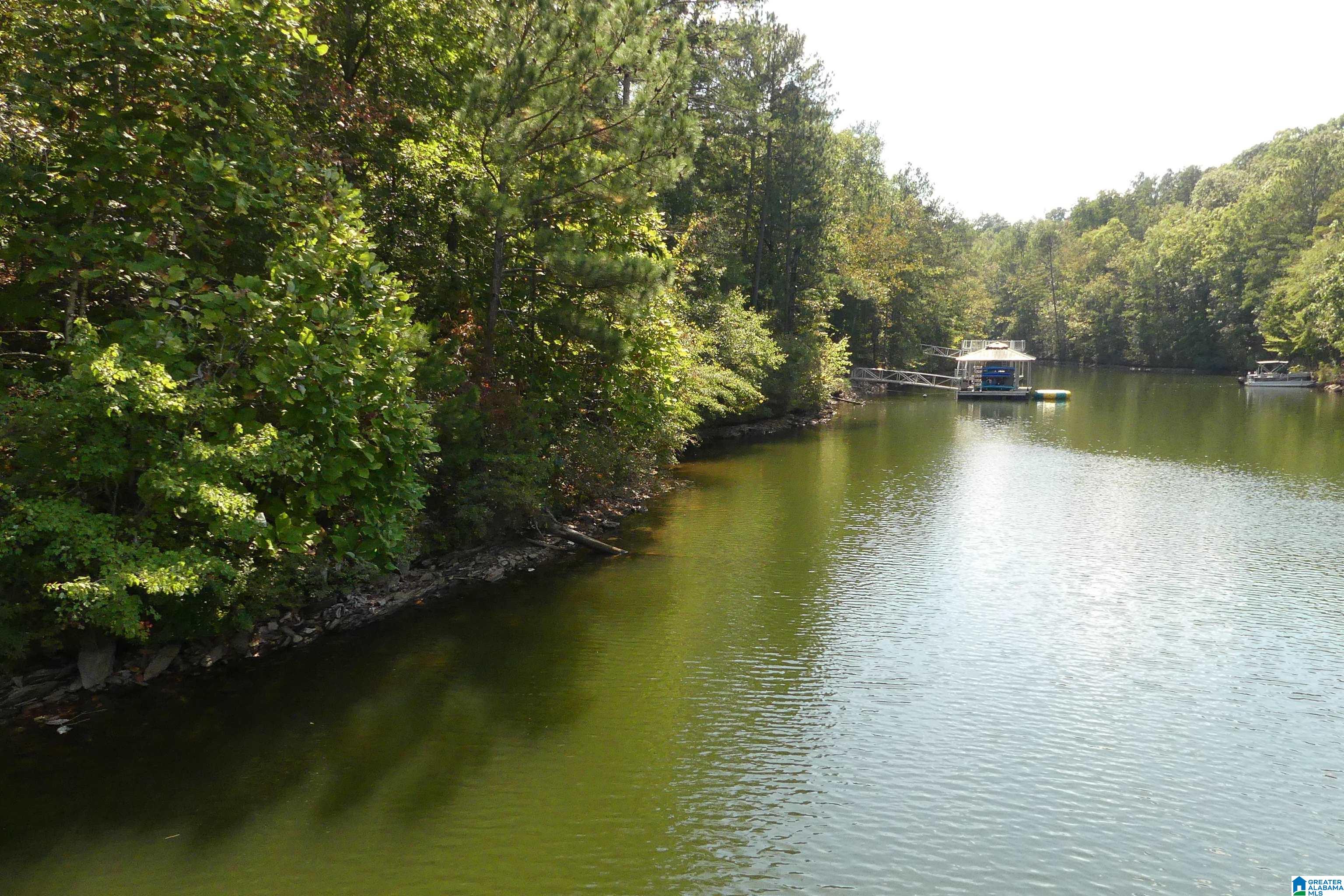 Lot 11 Brookwater Pointe Property Photo 3